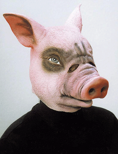 Fasching Maske Schwein aus Gummi